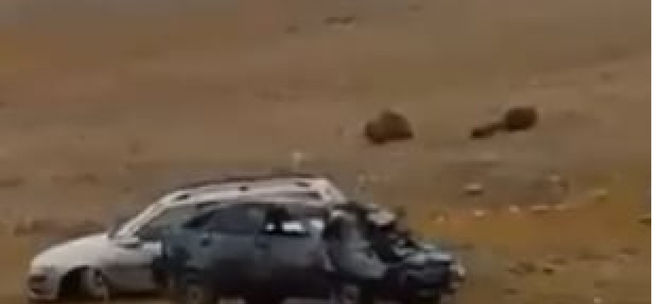 1733394819.b7e9866e-83f2-4927-bf6a-0f5def8ac34f