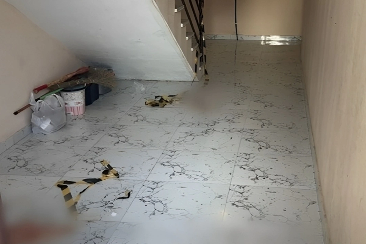 8k6G3CZoowzzo3ZtXeo087Za3qfRvNT8ynoxaeO6_1200