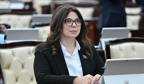 1738574847_sebine-salmanova