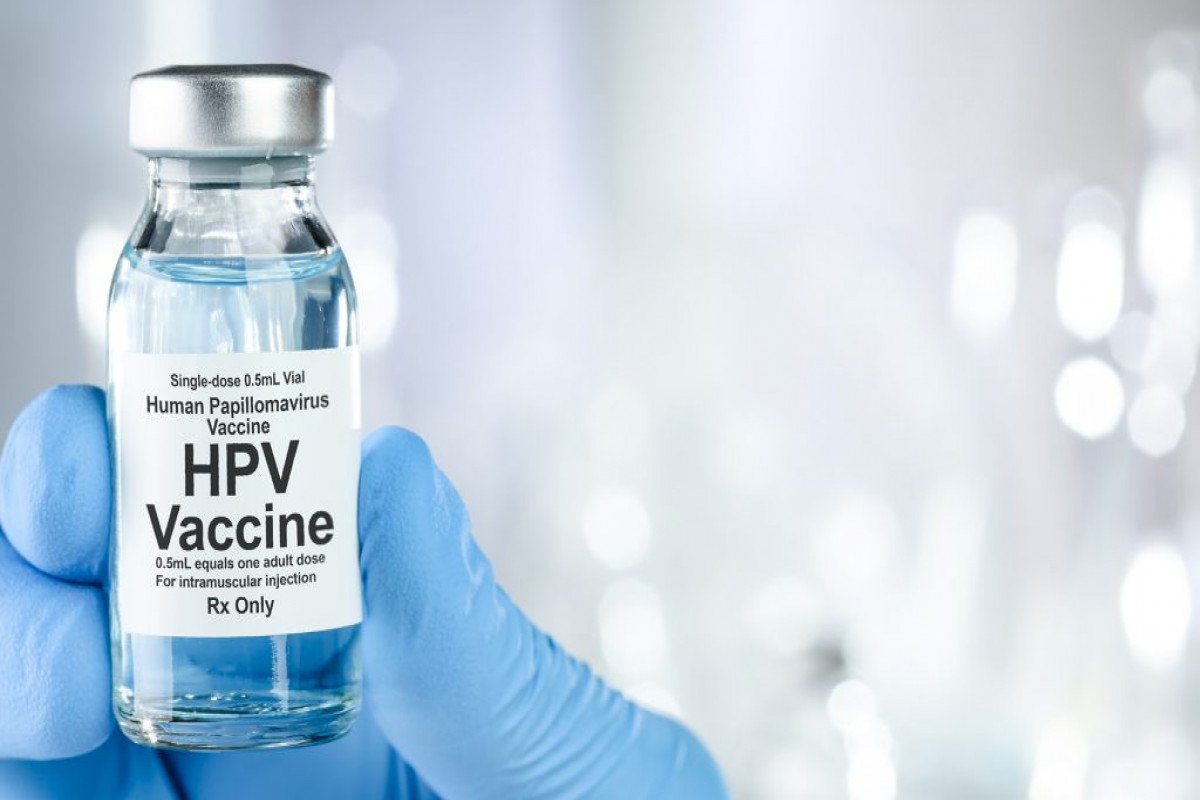 1739435804_1739435493_67adab545db9567adab545db96173943483667adab545db9367adab545db94-1