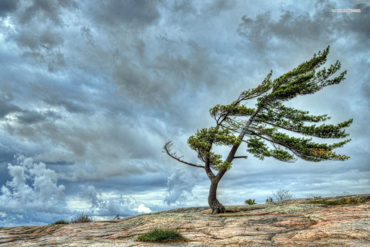 6744902c574036744902c57404173254660486e5ce614b107df9db15e43715c801b3