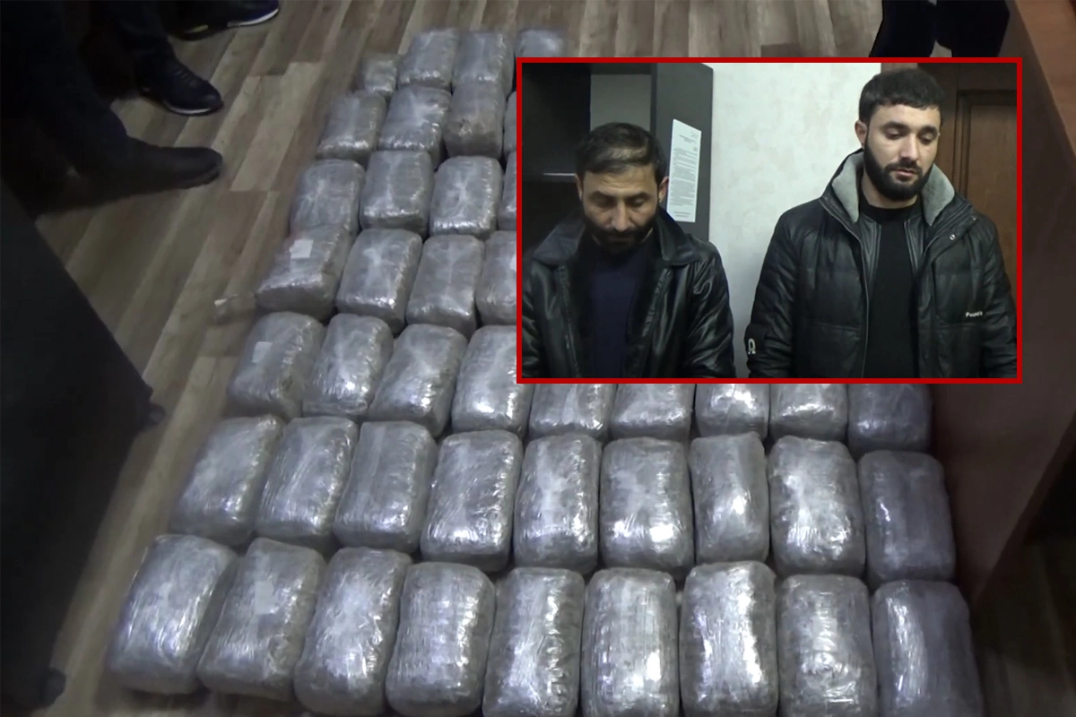 K0MZCdlBHzC6784qvldc8Ty056uQXZzDn1XHEYZy_1200