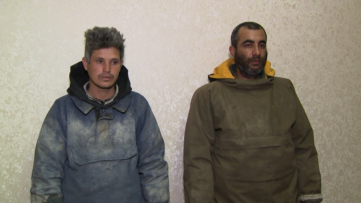 ex5TP2oPeeaSiEfsPBwW7nivC0oigV9r2hHF2Bar_1200