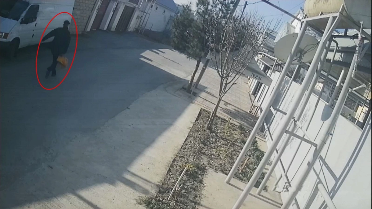 q6a9fuI4vSrelFVFZEw5QdmmJGNa2KG6MVn2E6Hc_1200