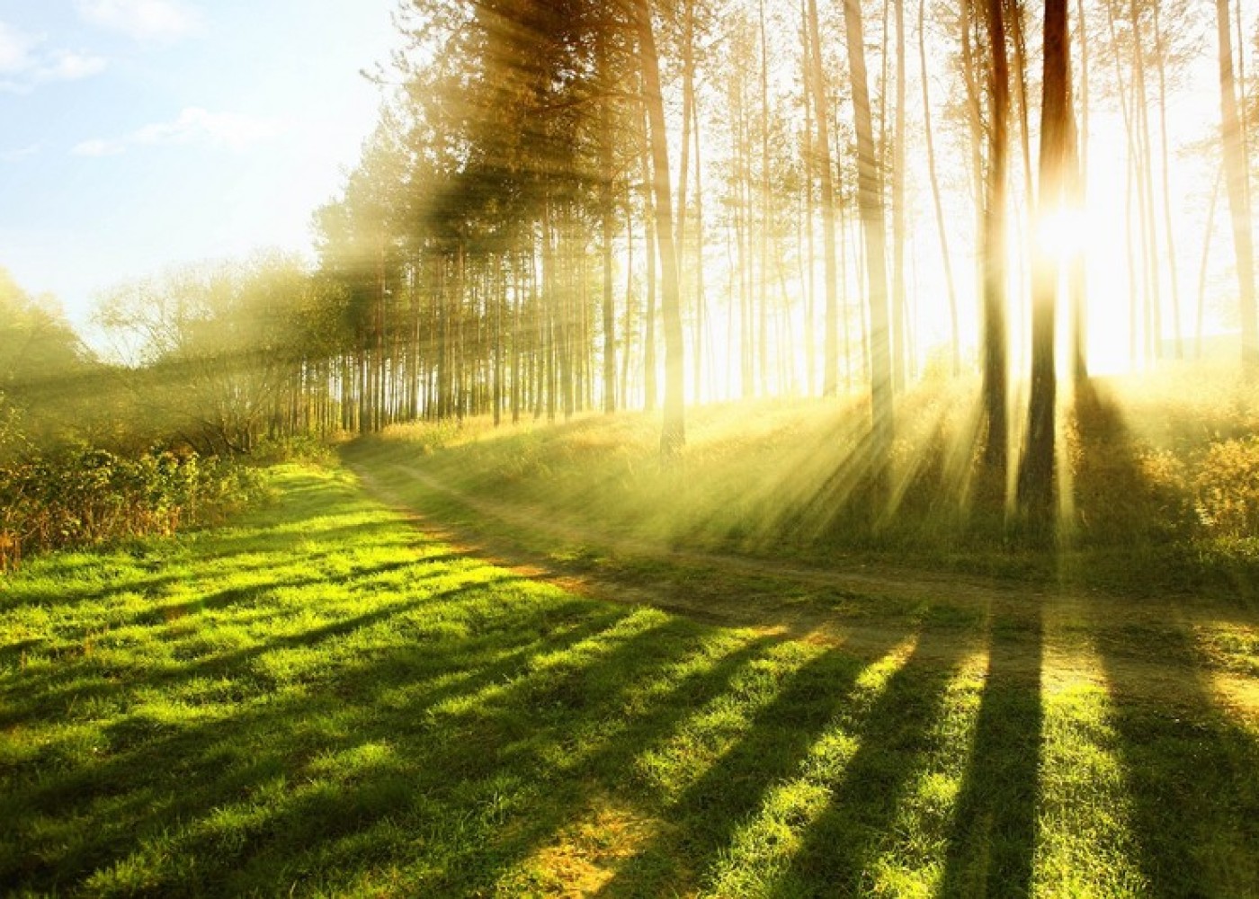 1730993585.hava-istijpg-1624780147