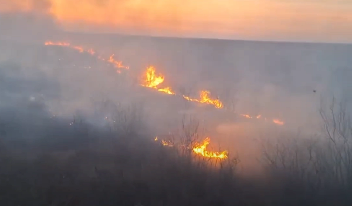 NcDMZW5fEPrt2F7AHXfVkPJSAvy3lGSsNbRonRn9_1200