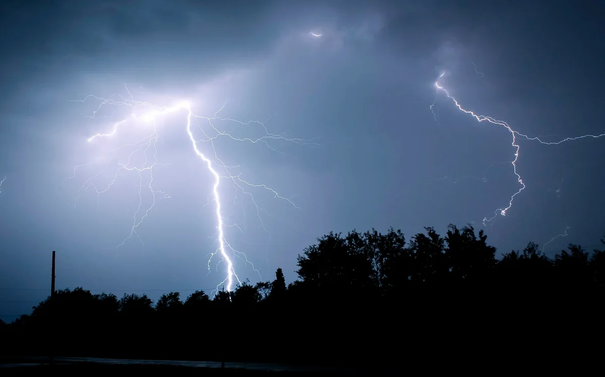 69b41d80-454b-331a-ab