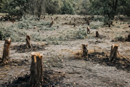 saatli-ekologiyayayaa