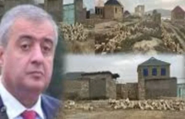 1775564747_ff642ec44c_0001