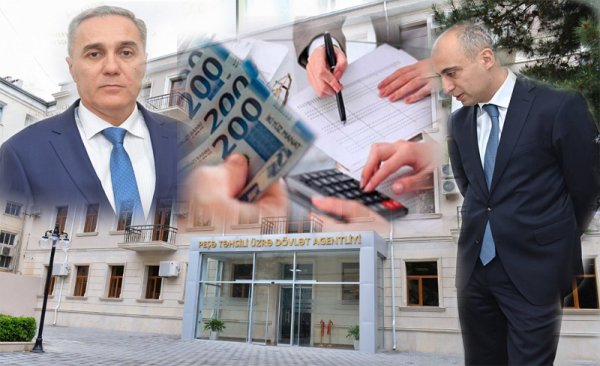 1776425152_pul-pese-stat-1