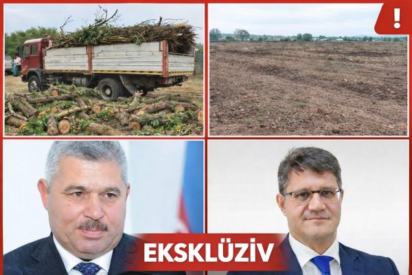 1776665285_whatsapp-mage-2026-04-20-at-00_17_34