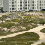 1777442790_1777386176_2