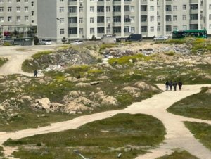 1777442790_1777386176_2