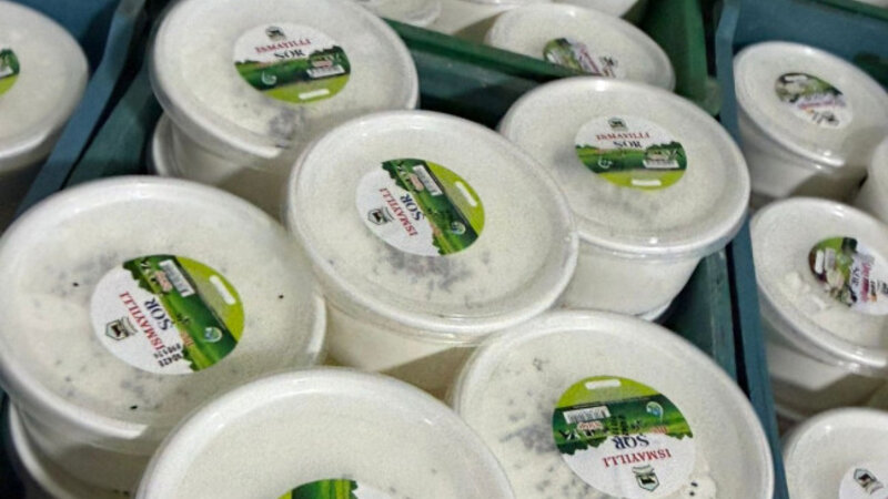 whatsapp-image-2026-04-13-at-111833