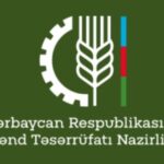 1779272399_1