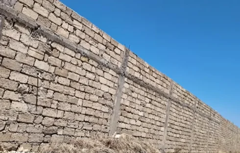 1781458164_1