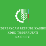 1783316311_1