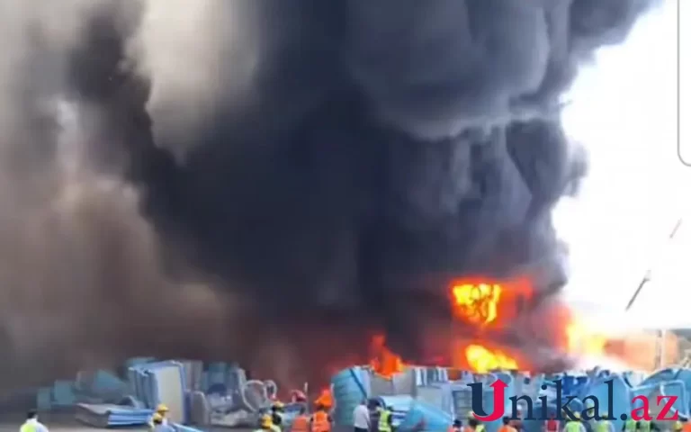 1785055464.Screen_Recording_20260726_123904_TikTok