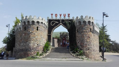 1787651172_1